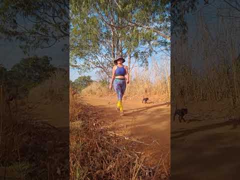 Caminhada sertaneja Comunidade Santa Rita município Vianópolis Goiás Brasil