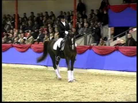 BELISSIMO M: Rheinland record dressage stallion, www.equine-evolution.com stallone da monta