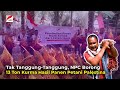 TAK TANGGUNG TANGGUNG 13 TON KURMA PETANI PALESTINA DIBORONG OLEH NPC