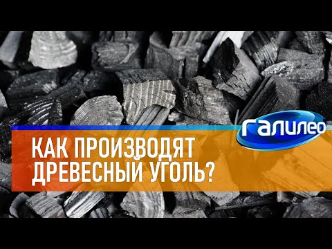 , title : 'Галилео 🛢 Как из дерева получают древесный уголь?'