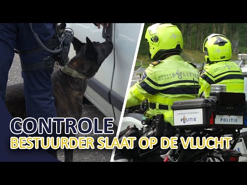 Politie | Bestuurder op de vlucht | Grote controle | Drugs | Wapens | Verkeersovertredingen