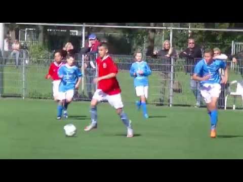 Samenvatting Hermes DVS D1 -  Zwaluwen D2