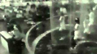 &quot;Liar Liar&quot; The Castways...My Extended Version!