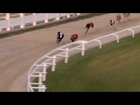 2020.05.29. 04. futam - MAY TROPHY 480M A1