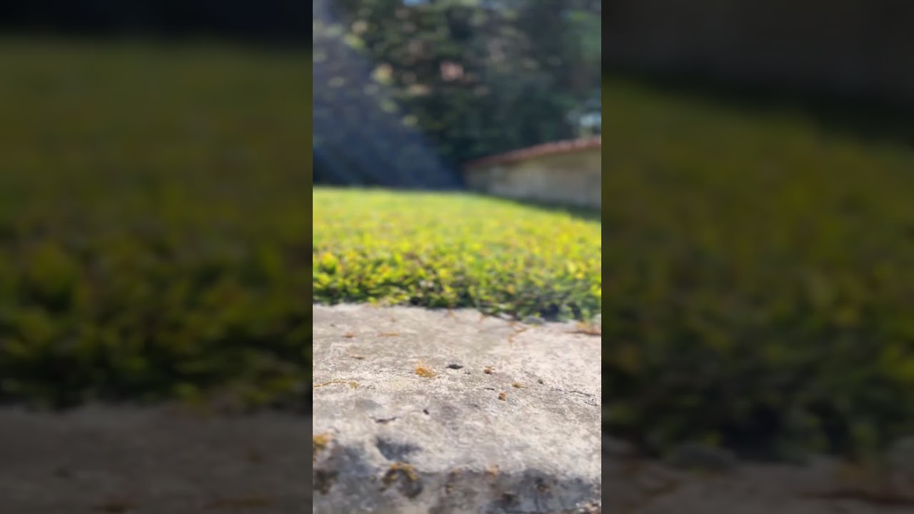 Vídeo do imóvel