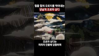 힘을 합쳐 막아내는 양날개 조로와 상디