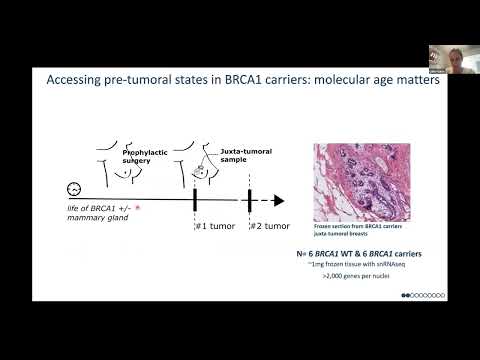 SCOG Virtual Lecture Series - Céline Vallot (Institut Curie, Paris)