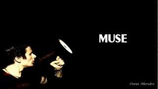 Agitated - Muse (Lyrics)