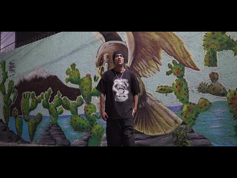 Perro Zw - Tercer Mundo