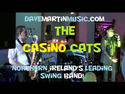 Swing Band Belfast Northern Ireland - Dave Martin & Casino Cats