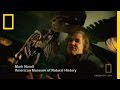 Documentary Science - Evolutions - Dino Turkey