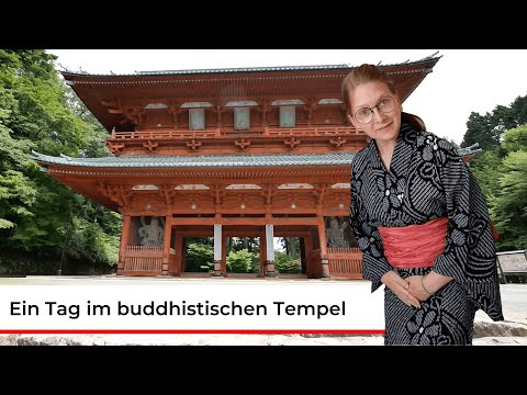 Tempelübernachtung in Koyasan | Präfektur Wakayama | Japan mal Anders