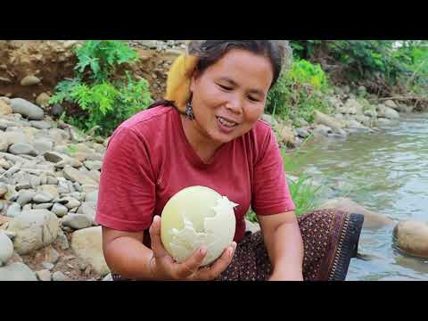 survival in the rainforest-women found 5 ostrich egg for cook -Eating delicious HD