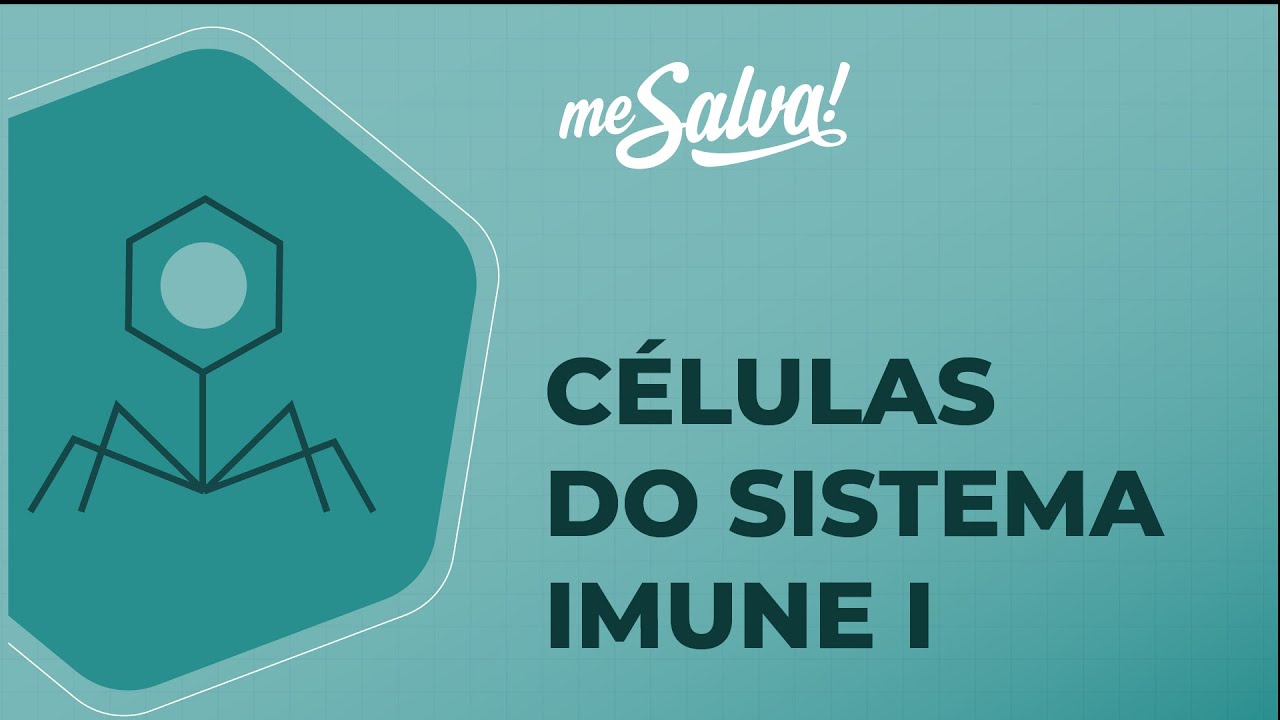Células do Sistema Imune - Imunologia - Me Salva! Saúde
