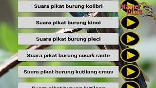 Download lagu 🔴cara downlod semua mp3 pikat burung terbaru mp3