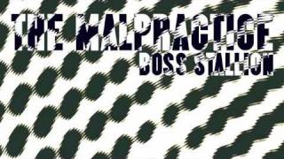 The Malpractice - Boss Stallion