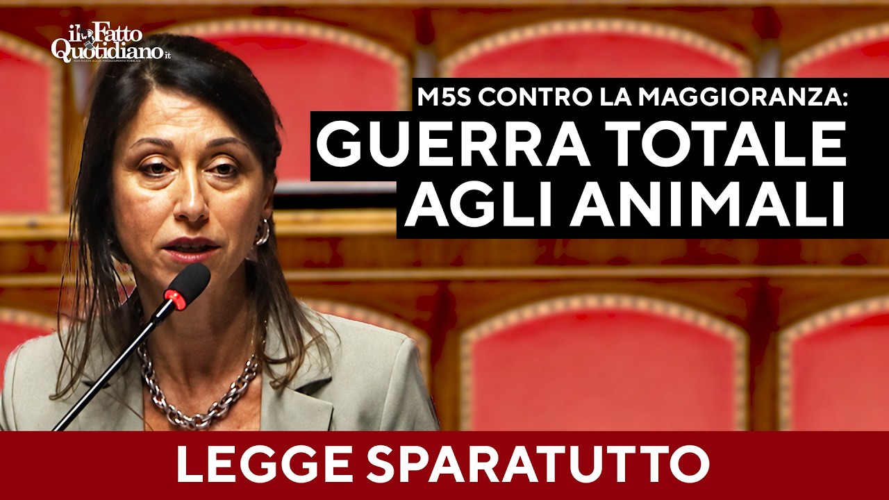 Caccia, il M5S contro la destra: “Una legge sparatutto per la lobby dei cacciatori”