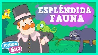 Esplêndida Fauna Music Video