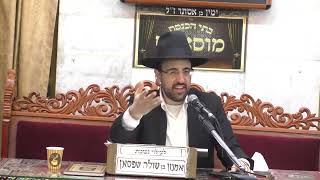 הרב מאיר אליהו | פרשת נח מוסאיוף | ה'תשעט (הרב יוסף צבי בן פורת) - התמונה מוצגת ישירות מתוך אתר האינטרנט יוטיוב. זכויות היוצרים בתמונה שייכות ליוצרה. קישור קרדיט למקור התוכן נמצא בתוך דף הסרטון הרב מאיר אליהו | פרשת נח מוסאיוף | ה'תשעט (הרב יוסף צבי בן פורת) - התמונה מוצגת ישירות מתוך אתר האינטרנט יוטיוב. זכויות היוצרים בתמונה שייכות ליוצרה. קישור קרדיט למקור התוכן נמצא בתוך דף הסרטון