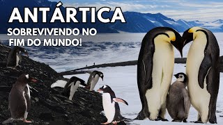 ANTARCTICA: Surviving at the End of the World!