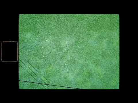 Video thumbnail for Waiting for Life to Begin