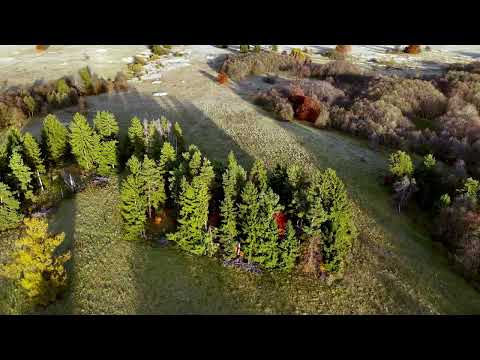 Flying Over Korond, Harghita – A Peaceful 4K Drone Journey