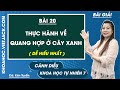 Khoa học tự nhiên 7 Cánh diều Bài 20: Thực hành về quang hợp ở cây xanh - Trang 99, 100