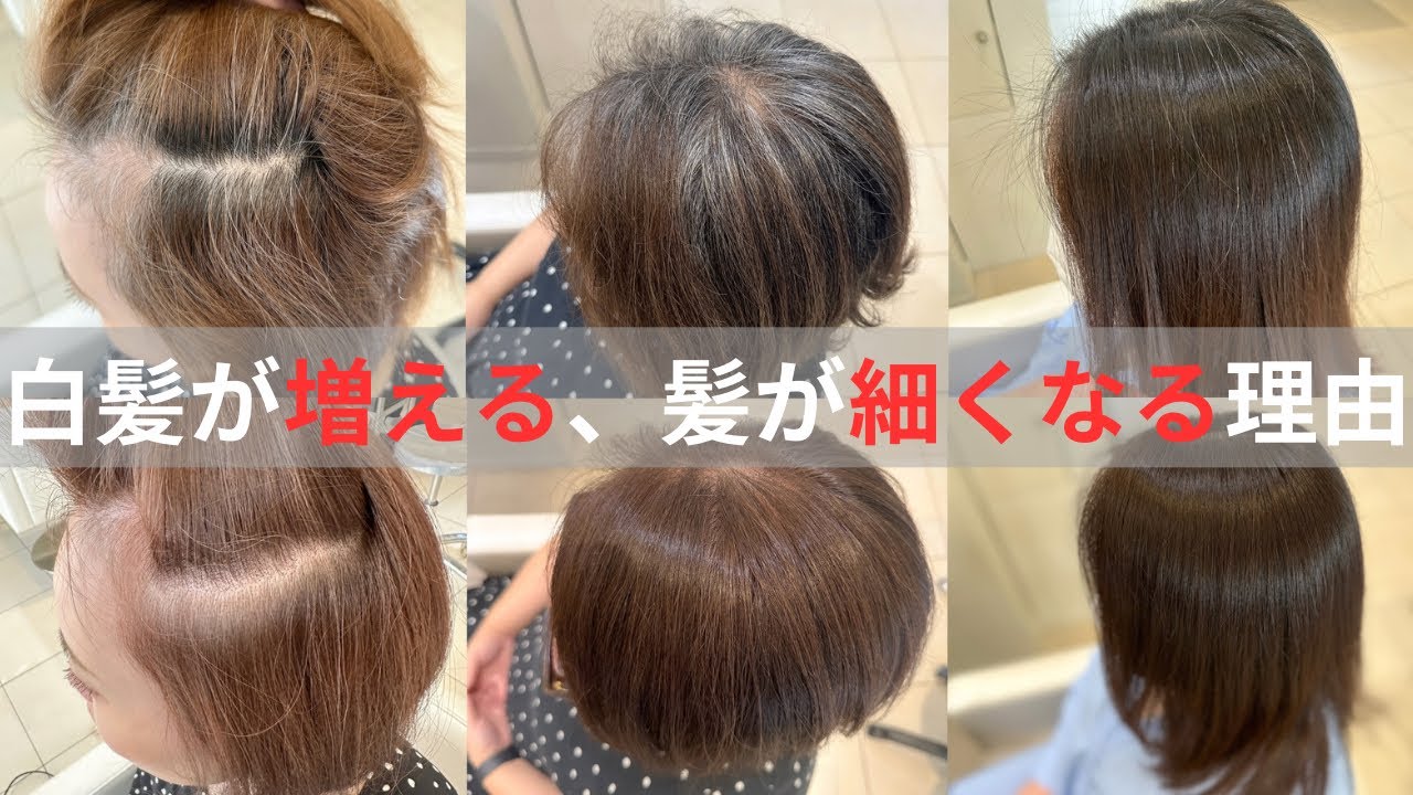 白髪染めを使わないだけで、髪質が綺麗になっていく話。