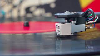 Elvis Costello - Two Little Hitlers