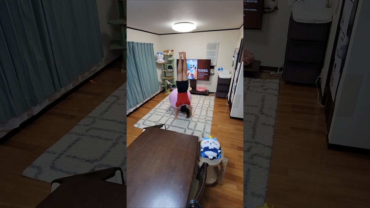 ケセラセラ🎵 Mrs. GREEN APPLE🎶 #動じない猫 #信頼関係 アクロバット×バランスボール 頭の中で楽曲を想像&表現🧏‍♀️ #ミセス特集