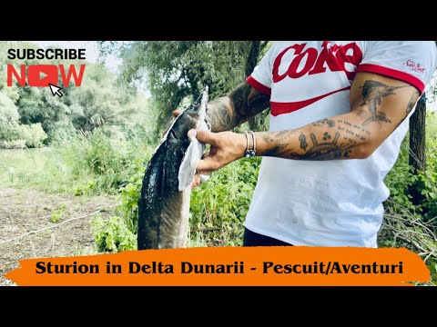 Aventuri la Dunare - Canalul Iacub - Delta Dunarii - Storceag de Sturion - In cautarea crapilor