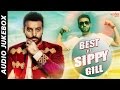 Best Of Sippy Gill Audio Jukebox Superhit New Punjabi Songs Of 2016 SagaMusic