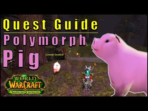 Polymorph Pig -  quick quest guide - learn to turn people into pigs fast! Simple TBC WoW Mage quest