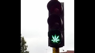 House Votes to Let Banks Handle Marijuana Money