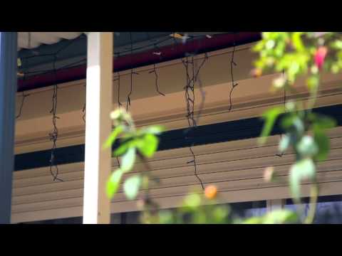 3 Paraka Place, Bradbury- Prudential Real Estate 9605 5000