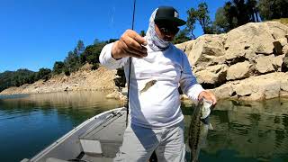 Duo Realis Nomase Wakasagi