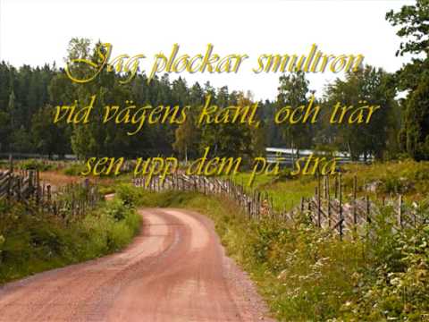 Ultima Thule - Barfotavisan, rockversionen