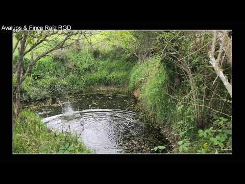 Vendo Finca Chocontá con agua por nacedero12.000 m2 1.80 fanegadas + nacedero  propio $ 305 Millones
