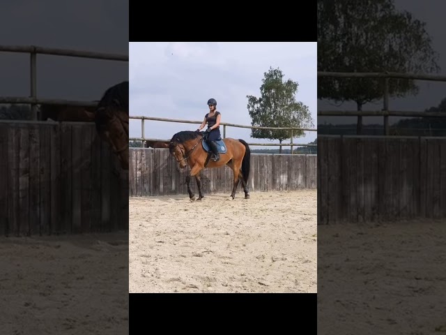 Fydel de la burdinale