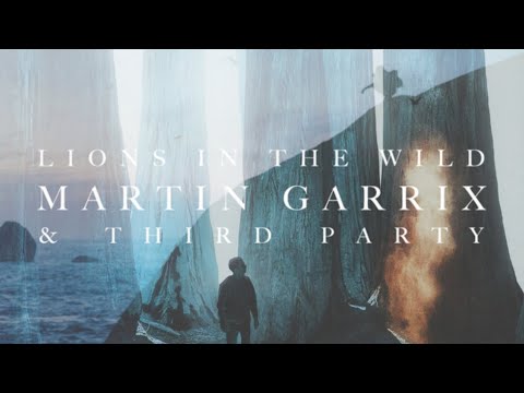 The Rest Of Your Life vs. Lions In The Wild (Martin Garrix Tomorrowland NYE 2020 Mashup)