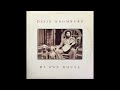 David Bromberg – Lower Left Hand Corner Of The Night