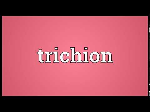 Trichion Meaning | Wordogram