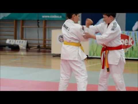 Mednarodni turnir v judu