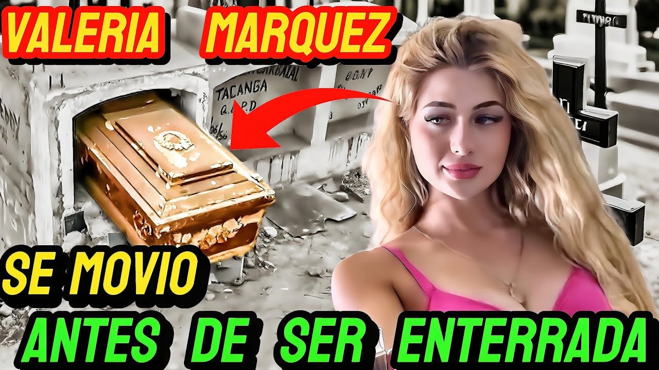 YouTube Thumbnail Downloader FULL HQ IMAGE