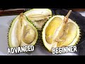 DURIAN COMPARISON Musang King VS D24 Weird Fruit Explorer