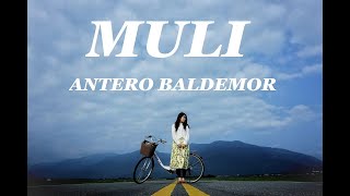 Muli -  Antero Baldemor