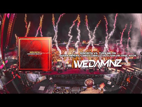 Shawn Mendes, Camila Cabello vs. Oliver Heldens, Riton - Señorita vs. Turn Me On (WeDamnz Mashup)