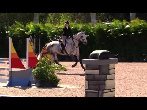 Double O’ Diamond & Ansley Wright USEF Medal WEF 4, 2020