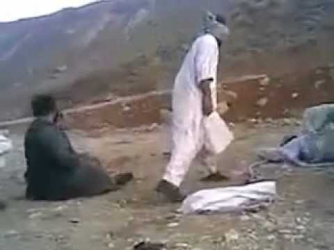 sbo7’s Video 12503279082 mfLm391Q1Gc