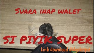Download lagu suara inap walet || SI Piyik Super mp3 Download lagu suara inap walet || SI Piyik Super mp3